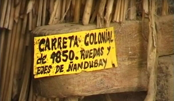 VSD – Programa 39 (24-11-1999)