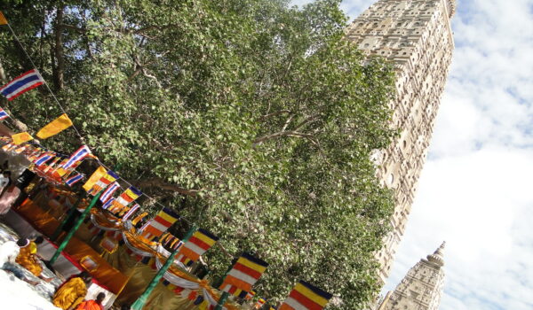 Bodhgaya (India) 2010