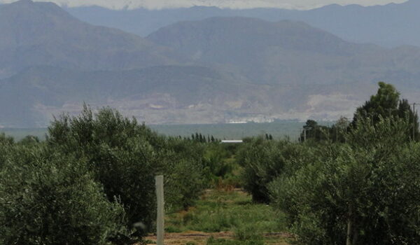 San Juan ciudad y Valle Fértil 2012