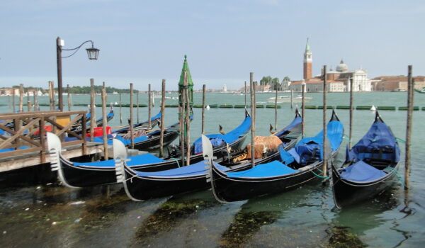 VENECIA 2012