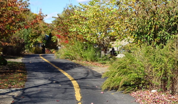 Boston-RHODE ISLAND-New Haven (Connecticut) 2021