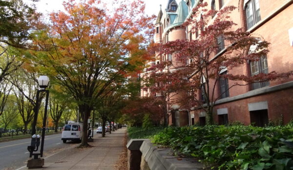 New Haven (y salida hacia Nueva York) 2021
