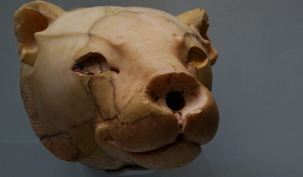 Heraklion Museo Arqueológico 2023