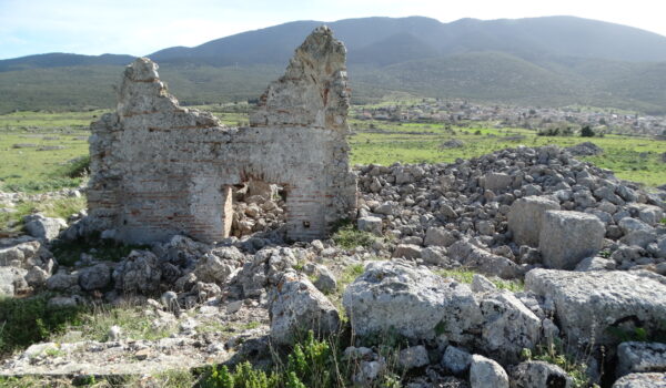 Platea 2023