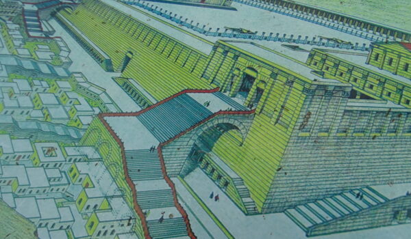 Excavaciones Yacimiento Davidson 2023