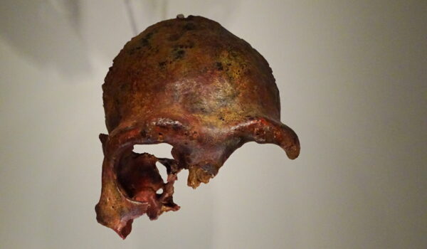 MUSEO de ISRAEL 2023