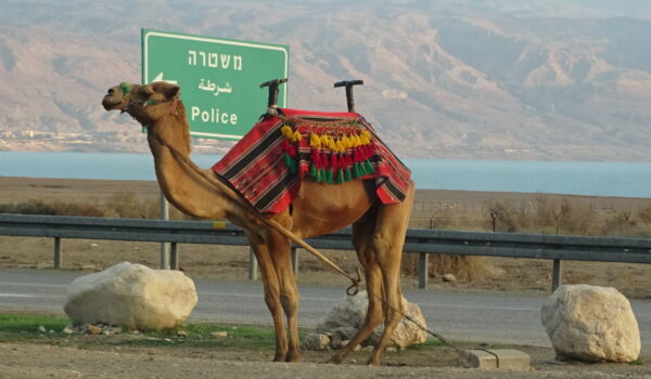Beer Sheva, Mar Muerto, MASADA 2023