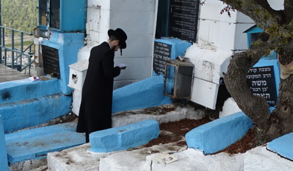 SAFED (Tzfat, Zefat) 2023