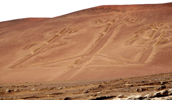 Pachacamac y Paracas 2025