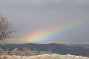 Turquía de Estambul a Sanliurfa por HATTUSA 2026